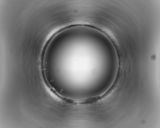 X0000092060942200709121351