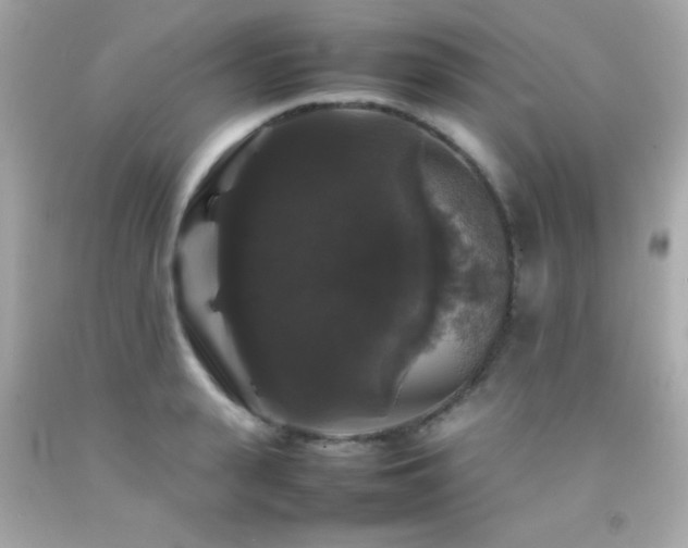 X0000092060943200709121352