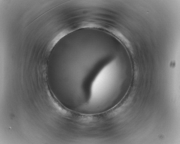 X0000092060945200709121352