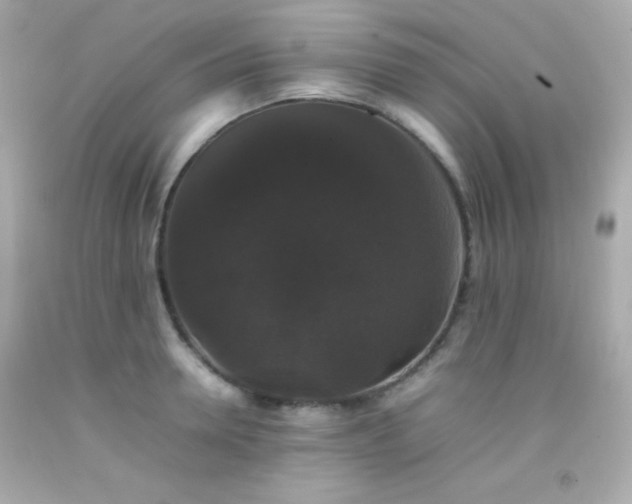 X0000092060946200709121352