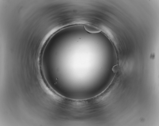 X0000092060947200709121352