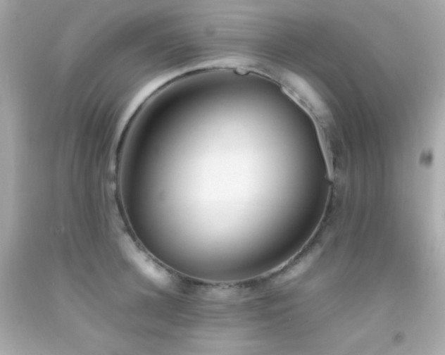 X0000092060948200709121352