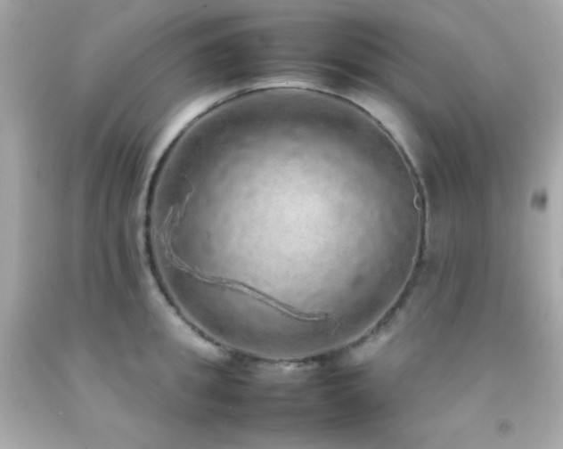 X0000092060949200709121352