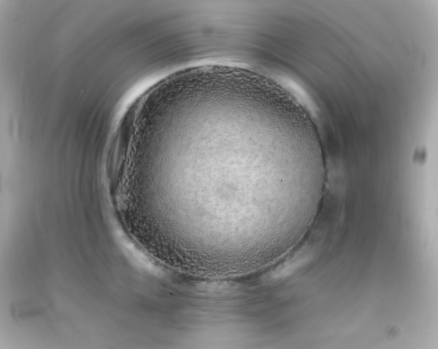 X0000092060952200709121352