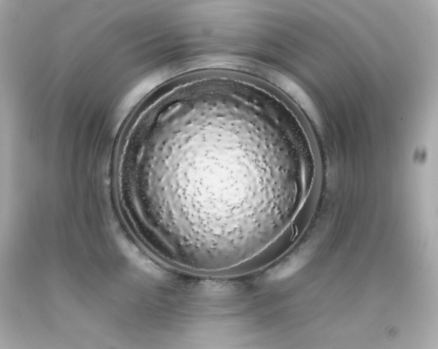 X0000092060954200709121352