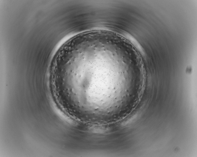 X0000092060955200709121352