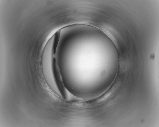 X0000092060956200709121352