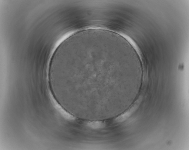 X0000092060957200709121352