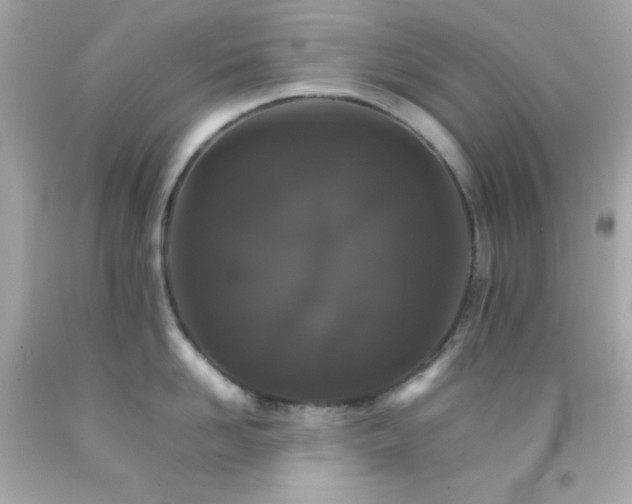 X0000092060958200709121352
