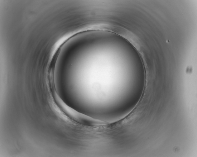 X0000092060960200709121352