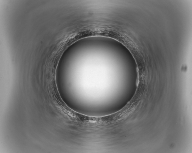 X0000092060961200709121351