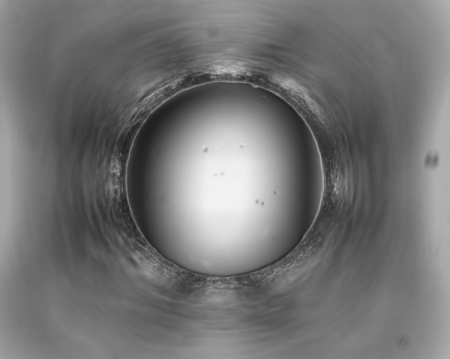 X0000092060964200709121351