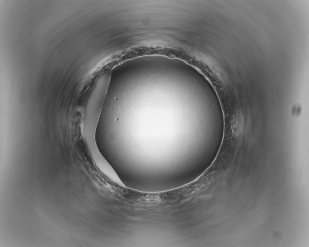 X0000092060968200709121351