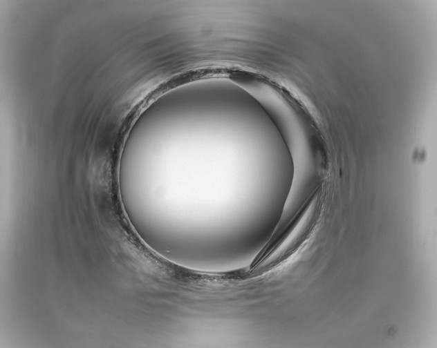 X0000092060969200709121351