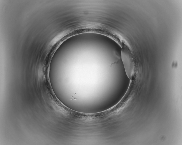 X0000092060970200709121351
