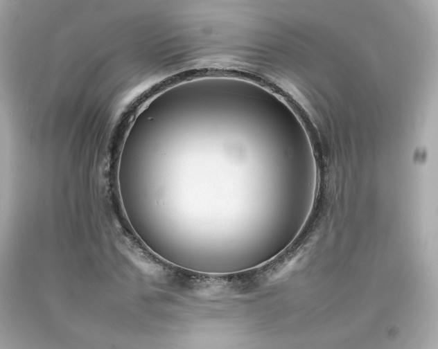 X0000092060971200709121351