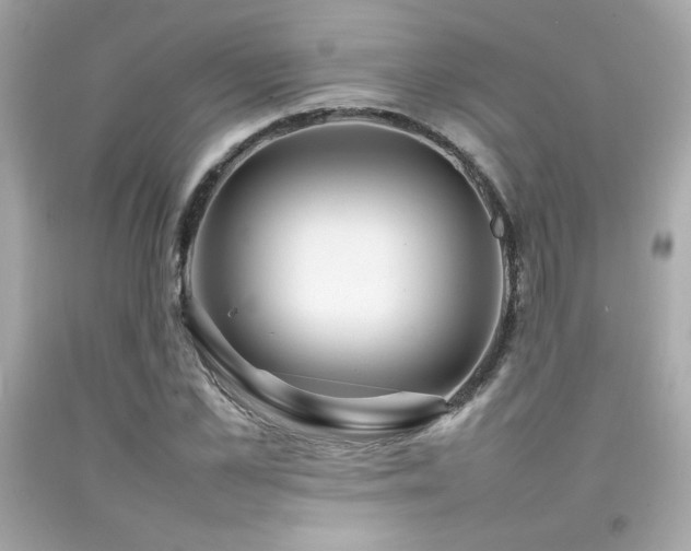 X0000092060973200709121351