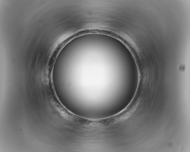 X0000092060974200709121351