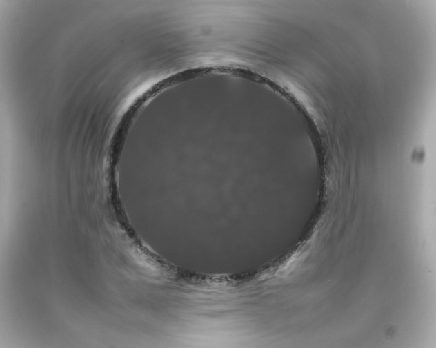 X0000092060975200709121351