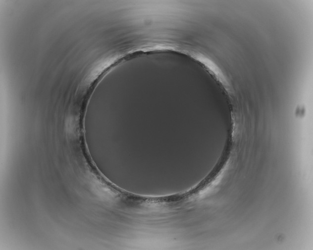 X0000092060977200709121351