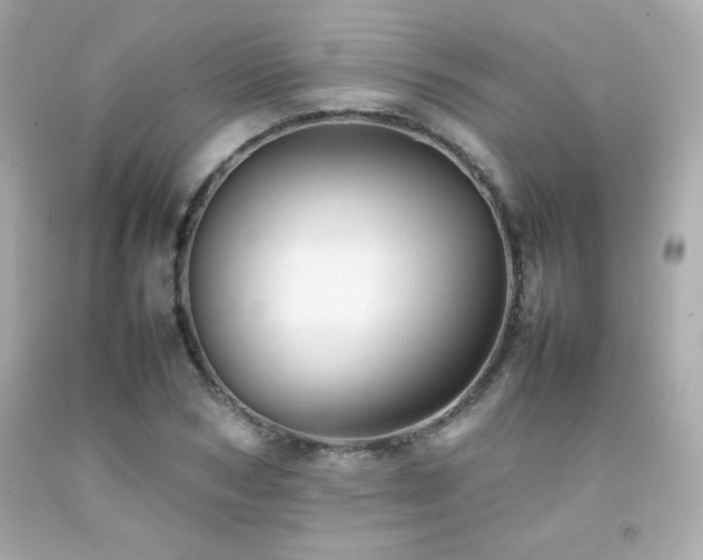 X0000092060978200709121351