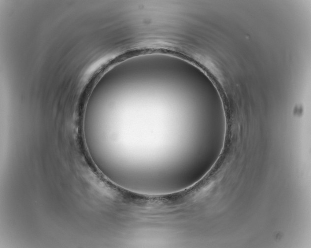 X0000092060979200709121351