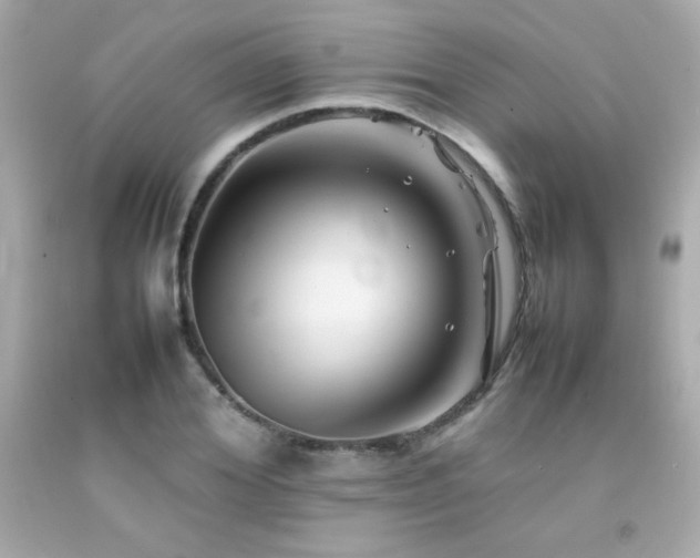 X0000092060980200709121351