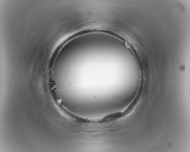 X0000092060981200709121351