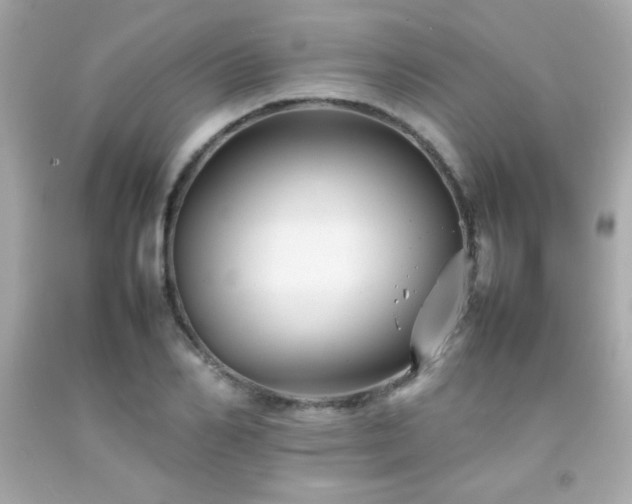 X0000092060982200709121351
