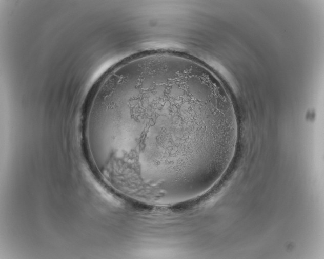X0000092060983200709121351