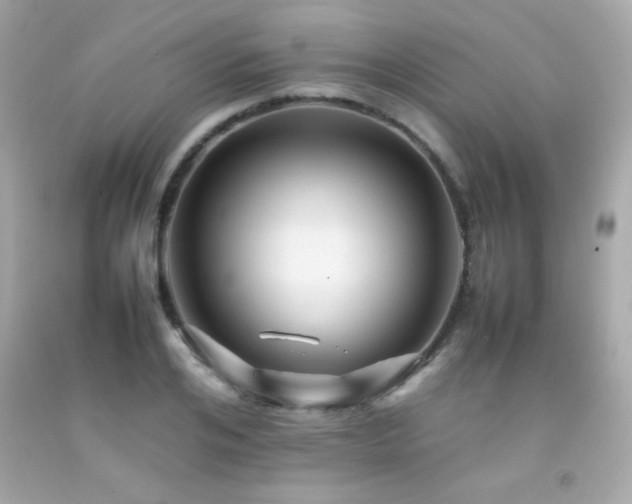 X0000092060984200709121351
