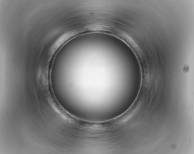 X0000092060986200709121351