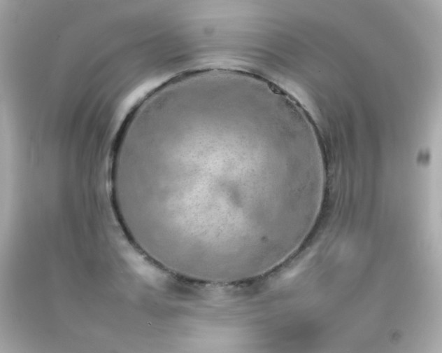 X0000092060987200709121351