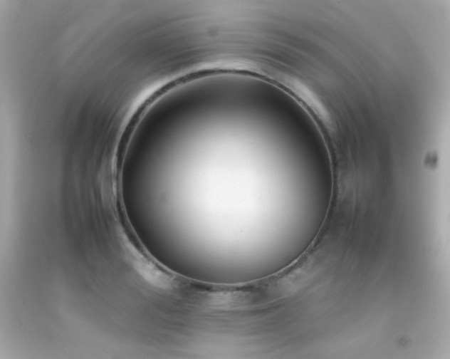 X0000092060988200709121351