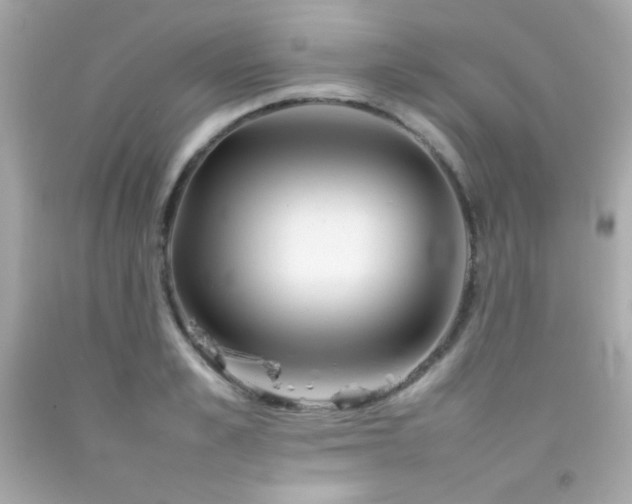 X0000092060989200709121351