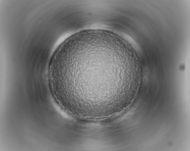 X0000092060990200709121351