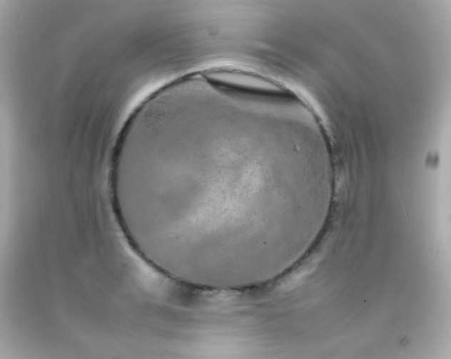 X0000092060991200709121351
