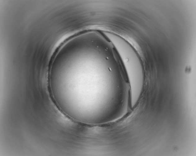 X0000092060992200709121351