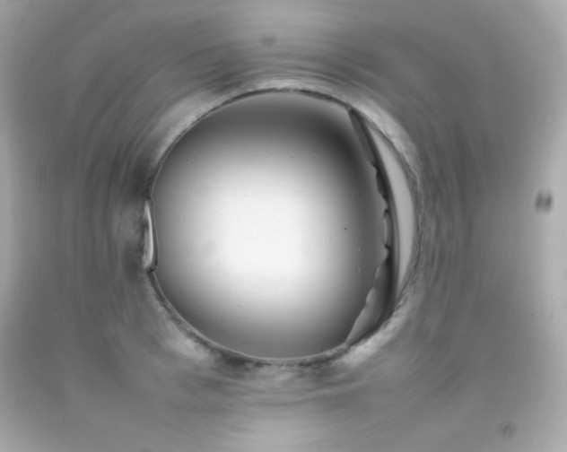 X0000092060993200709121351