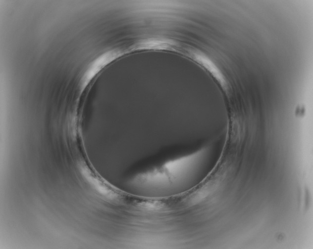 X0000092060994200709121351