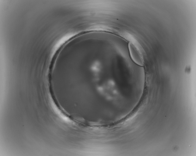 X0000092060995200709121351