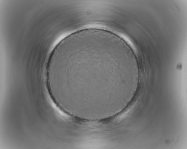 X0000092060999200709121351