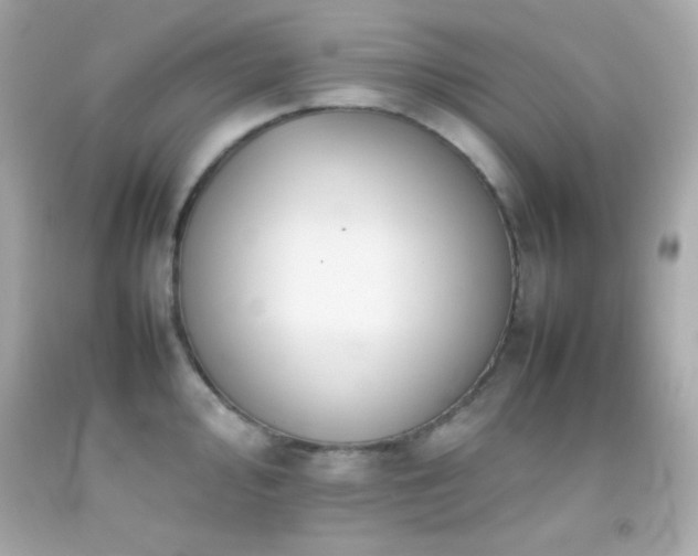 X0000092061000200709121351