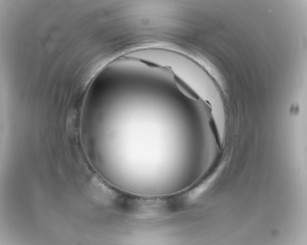 X0000092061001200709121351