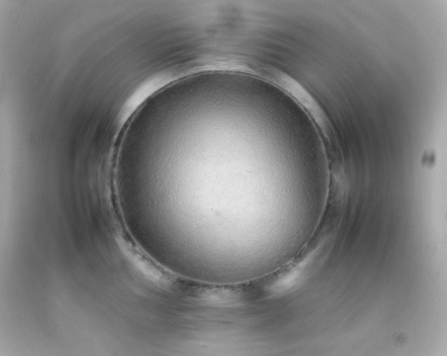 X0000092061002200709121351