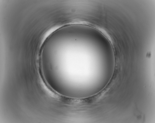 X0000092061003200709121351