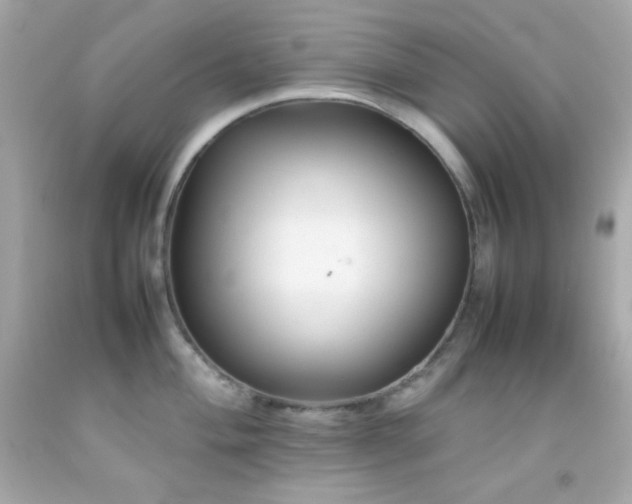 X0000092061004200709121351