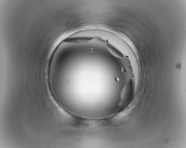 X0000092061005200709121351