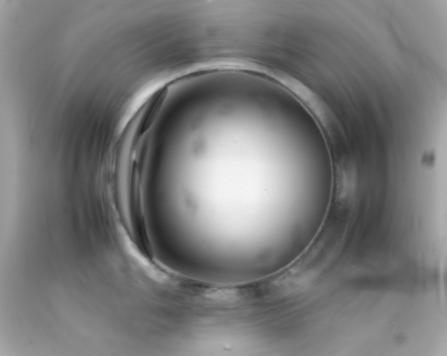 X0000092061006200709121351