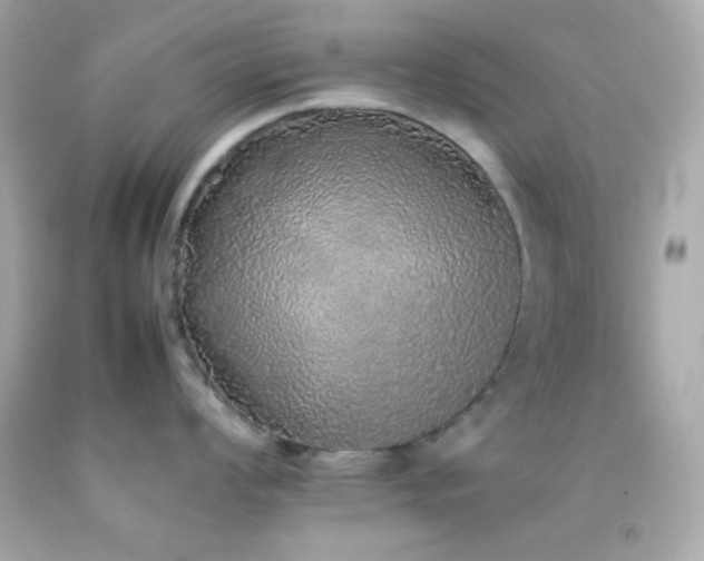 X0000092061008200709121351